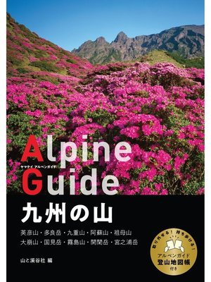 cover image of ヤマケイアルペンガイド 九州の山